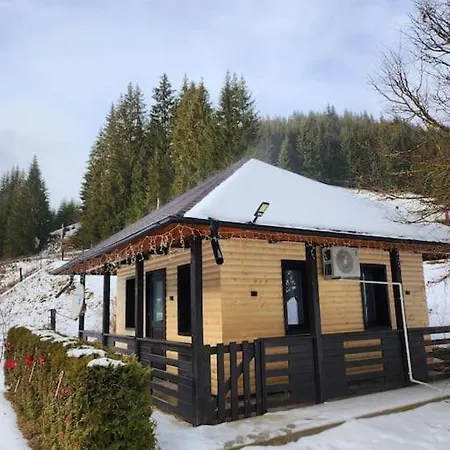 Holiday home Cozy House Elena Dragoiasa